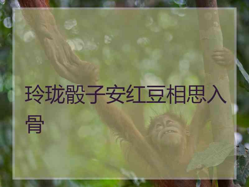 玲珑骰子安红豆相思入骨
