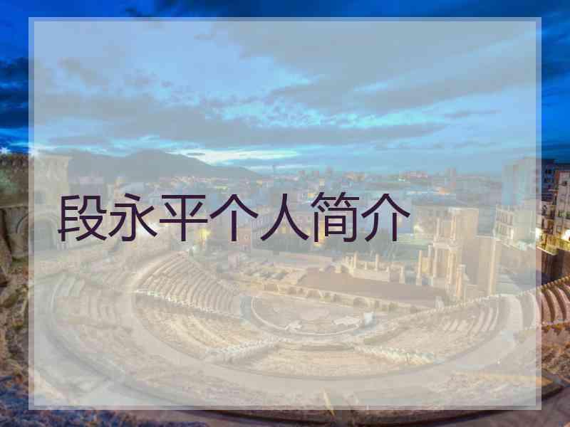 段永平个人简介