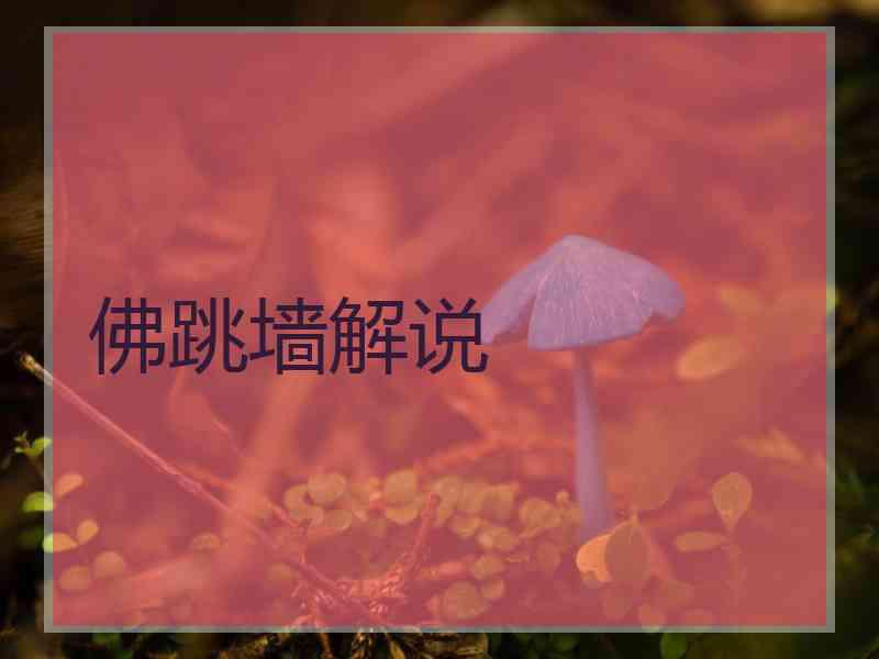 佛跳墙解说