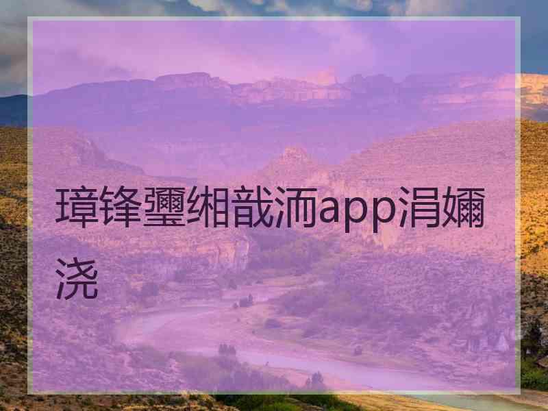 璋锋瓕缃戠洏app涓嬭浇