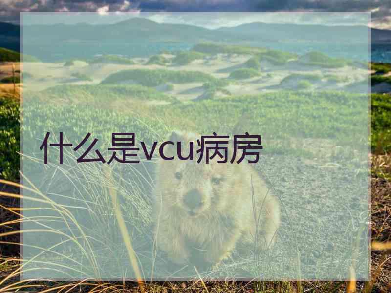 什么是vcu病房