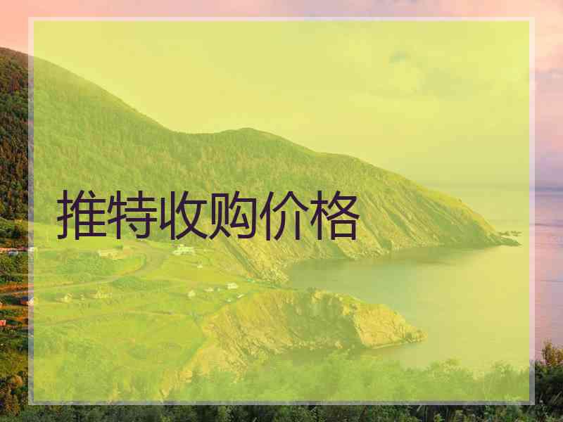 推特收购价格