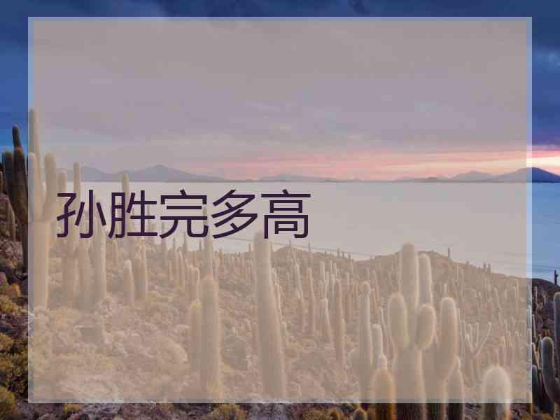 孙胜完多高