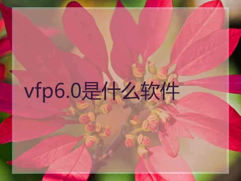 vfp6.0是什么软件
