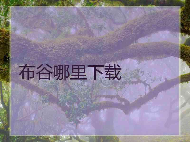 布谷哪里下载