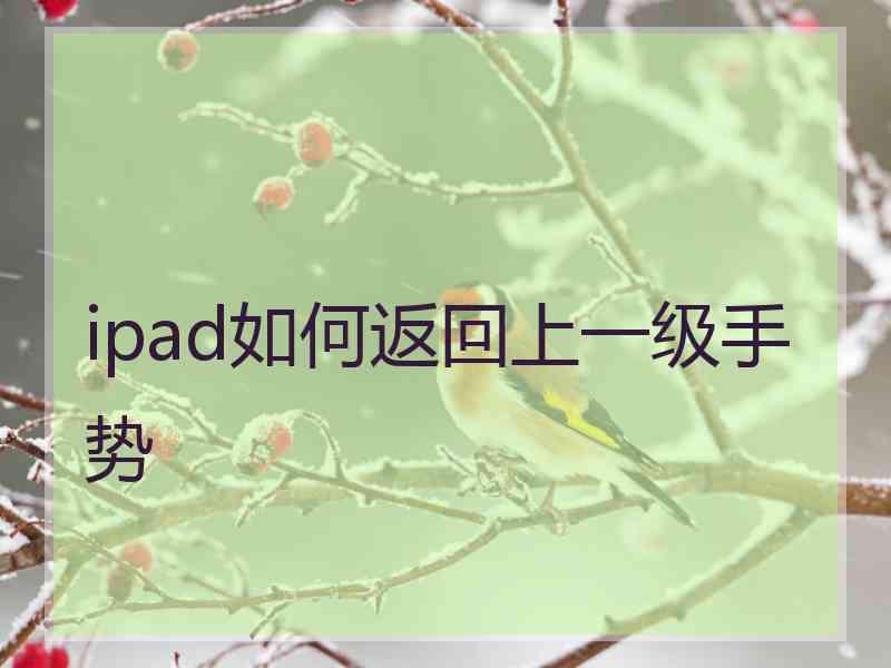 ipad如何返回上一级手势