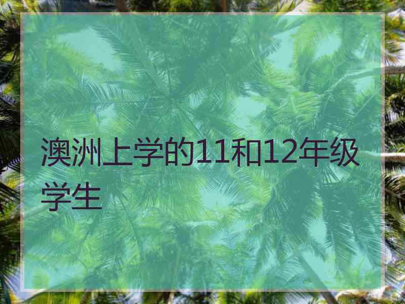 澳洲上学的11和12年级学生