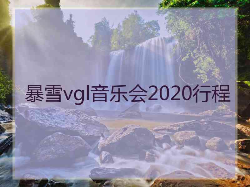 暴雪vgl音乐会2020行程