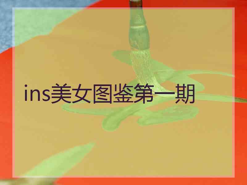 ins美女图鉴第一期