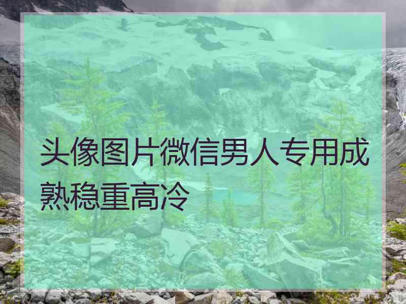 头像图片微信男人专用成熟稳重高冷