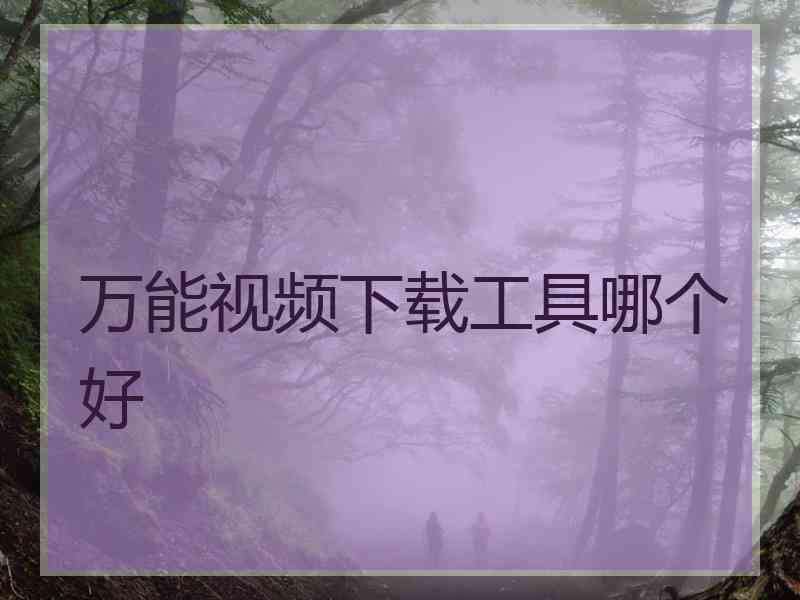 万能视频下载工具哪个好