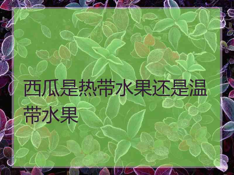 西瓜是热带水果还是温带水果