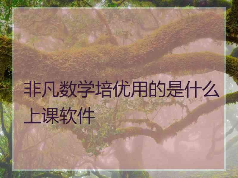 非凡数学培优用的是什么上课软件