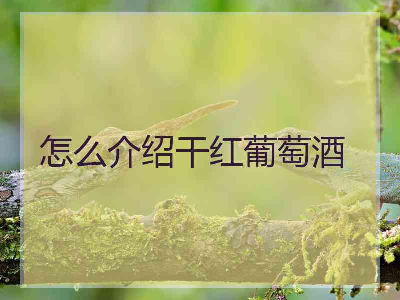 怎么介绍干红葡萄酒