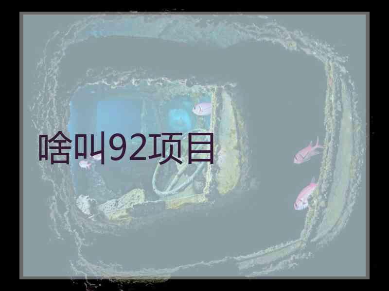 啥叫92项目