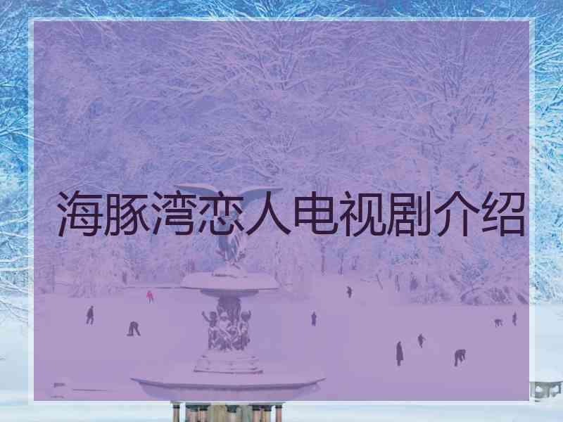 海豚湾恋人电视剧介绍
