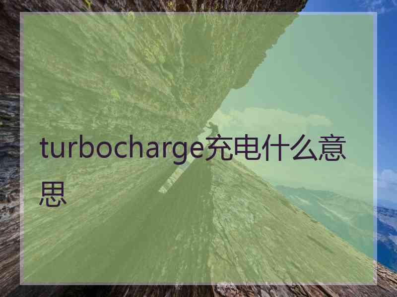 turbocharge充电什么意思