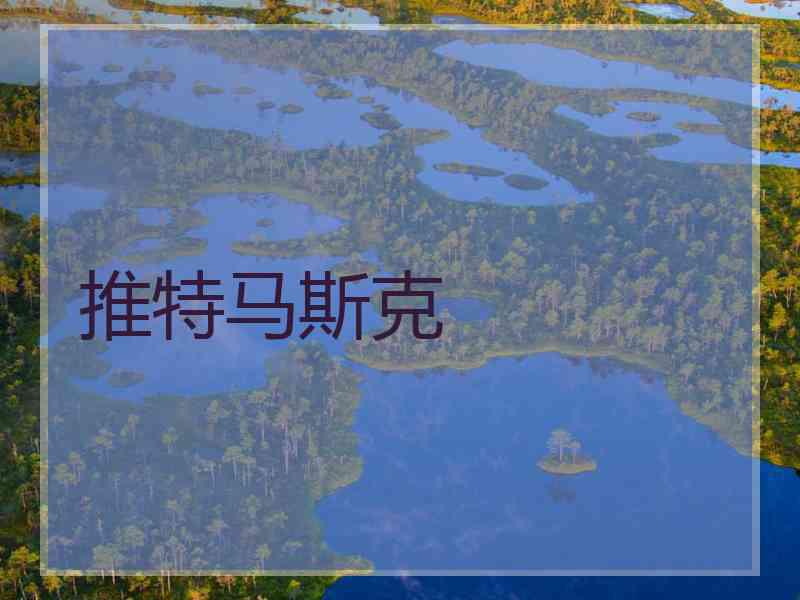 推特马斯克