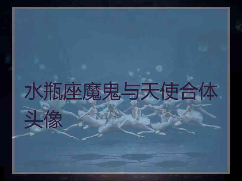 水瓶座魔鬼与天使合体头像