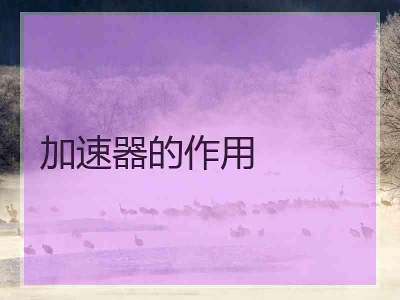 加速器的作用