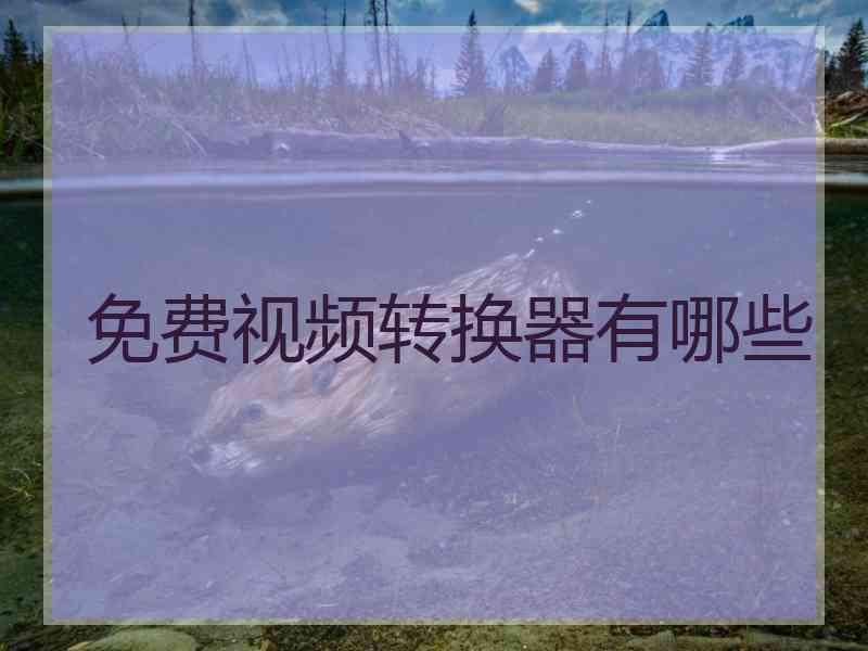 免费视频转换器有哪些