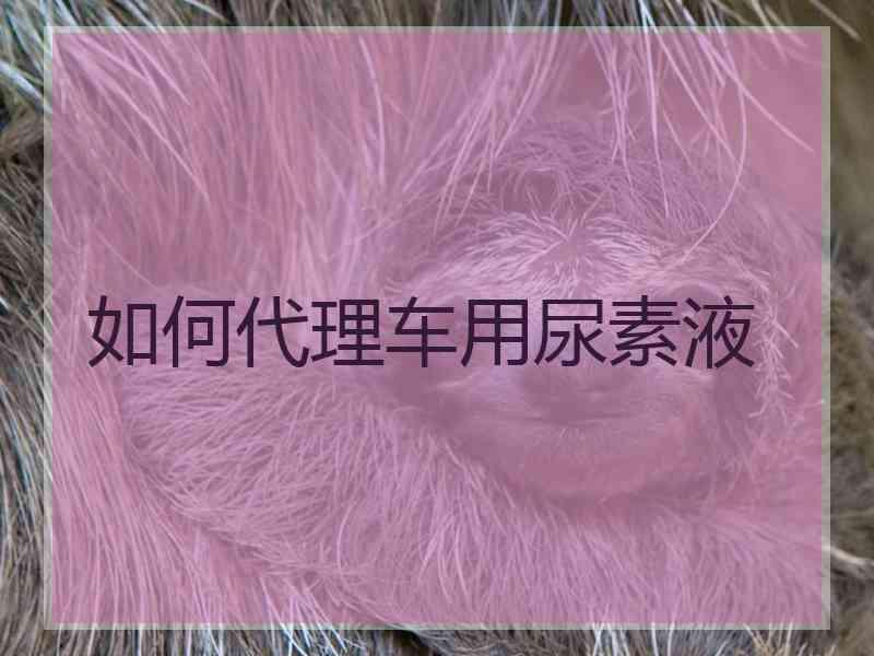 如何代理车用尿素液