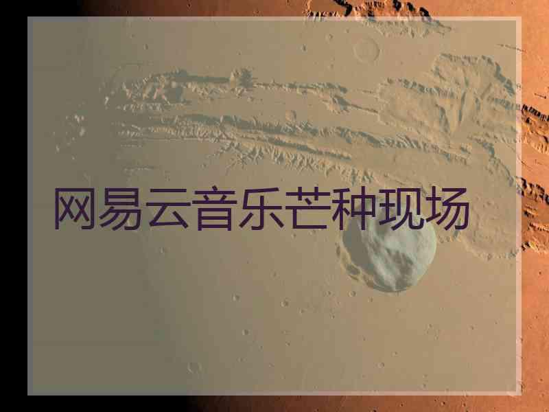 网易云音乐芒种现场