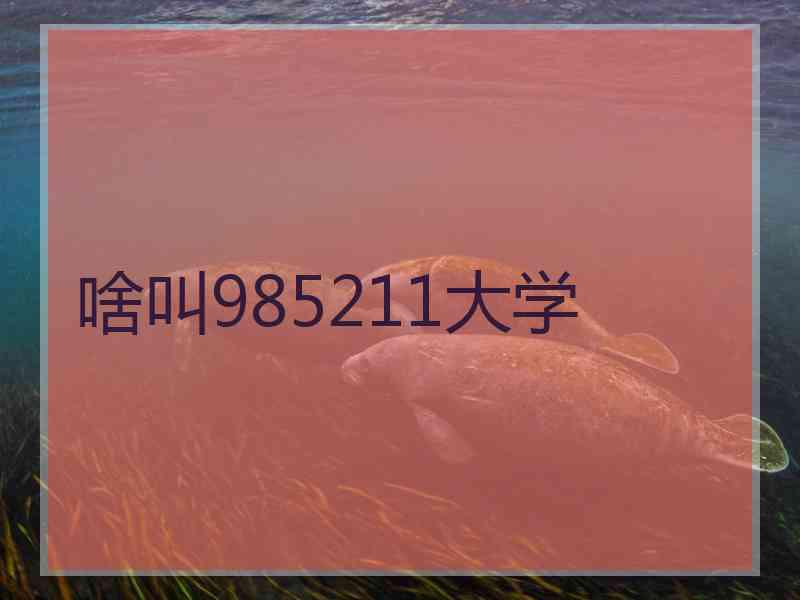 啥叫985211大学