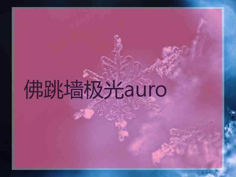佛跳墙极光auro