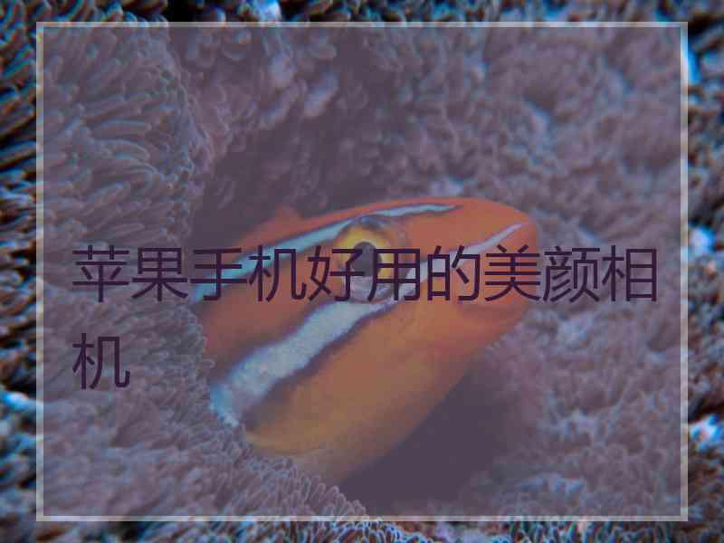 苹果手机好用的美颜相机