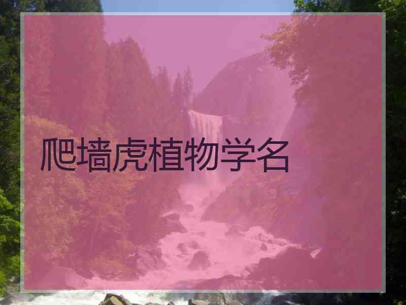 爬墙虎植物学名