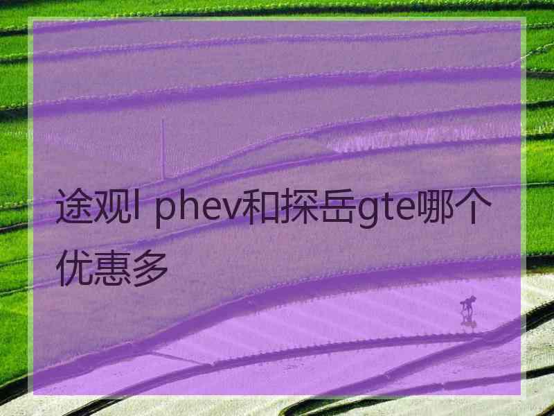 途观l phev和探岳gte哪个优惠多