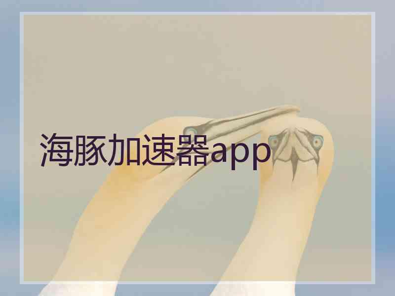海豚加速器app