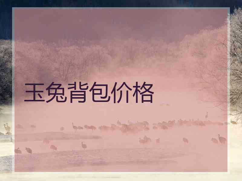 玉兔背包价格