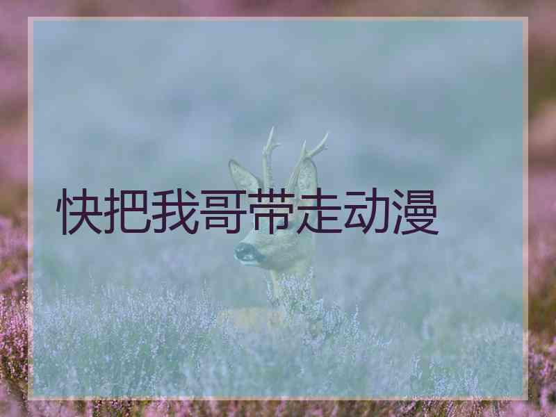 快把我哥带走动漫