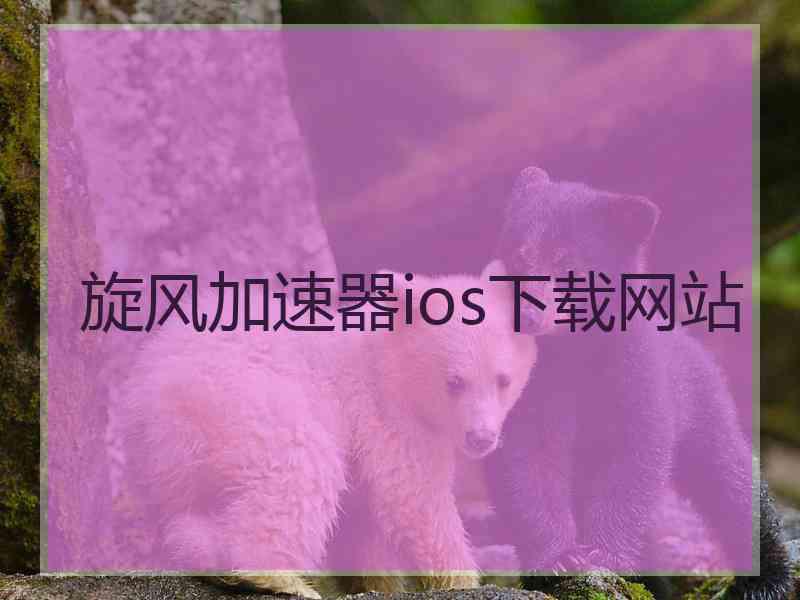 旋风加速器ios下载网站