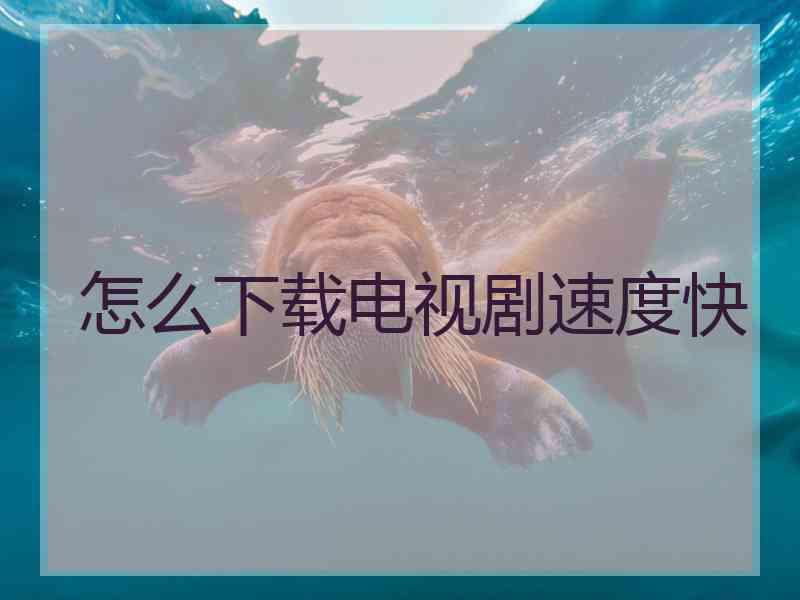怎么下载电视剧速度快