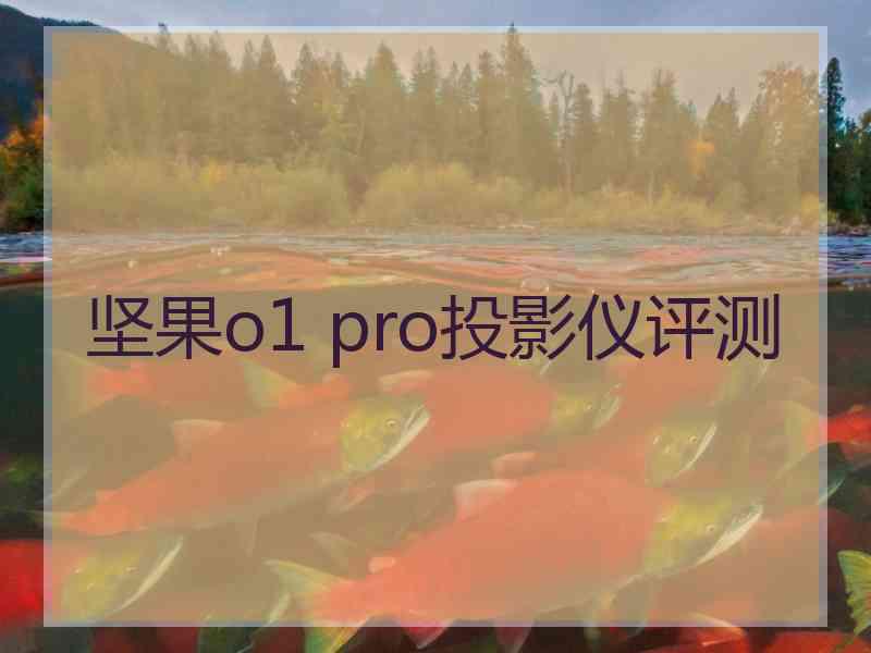 坚果o1 pro投影仪评测