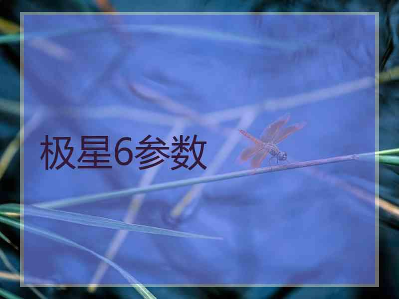 极星6参数