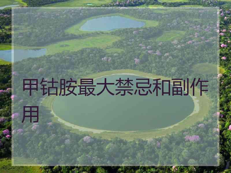 甲钴胺最大禁忌和副作用