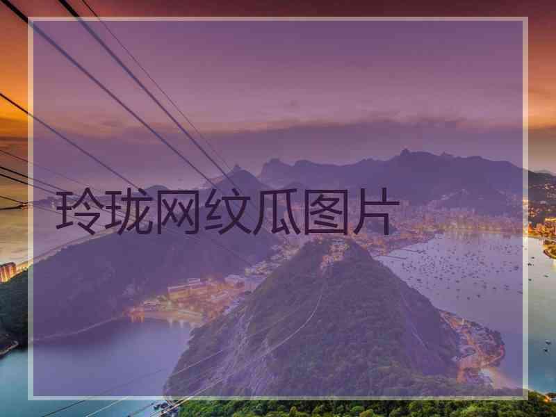 玲珑网纹瓜图片