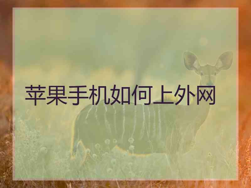 苹果手机如何上外网