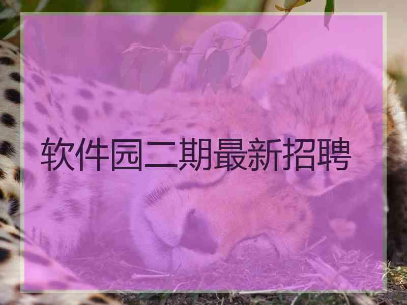 软件园二期最新招聘