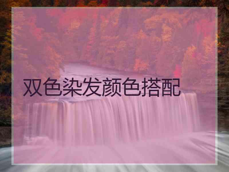 双色染发颜色搭配