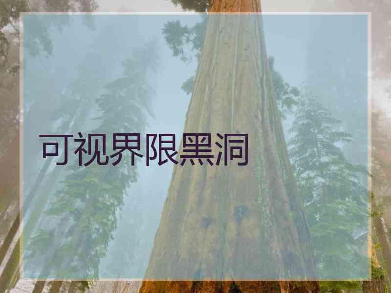 可视界限黑洞