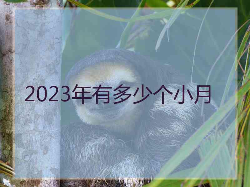 2023年有多少个小月