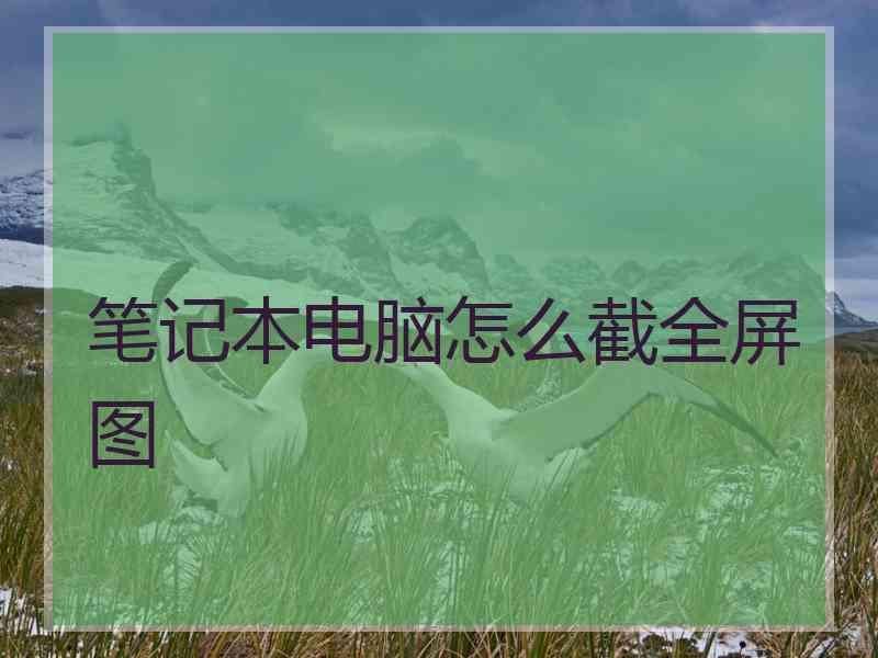 笔记本电脑怎么截全屏图