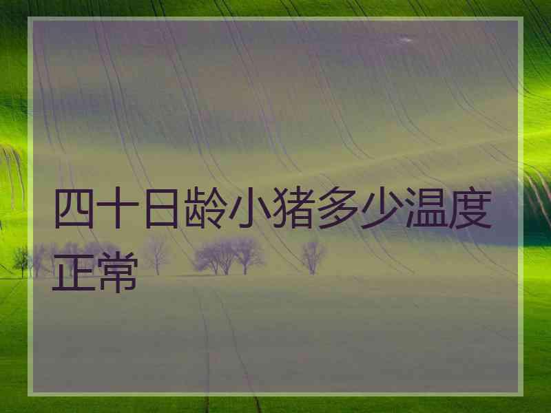 四十日龄小猪多少温度正常