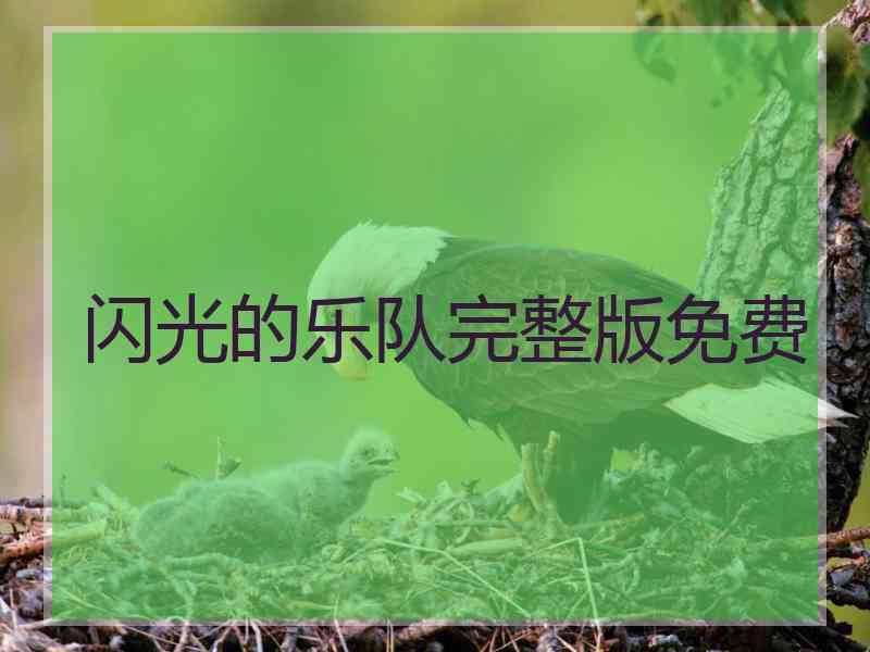 闪光的乐队完整版免费