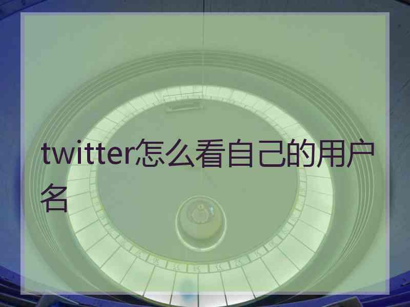 twitter怎么看自己的用户名